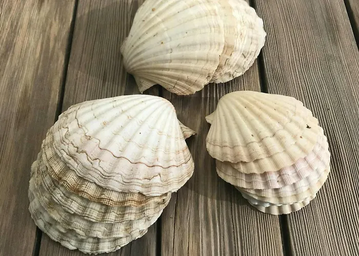 Summerhouse By Hegn Forest 펜션 *